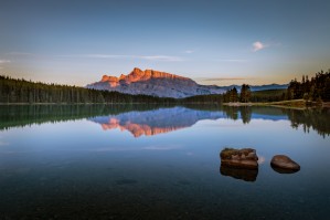 Two Jack Reflection